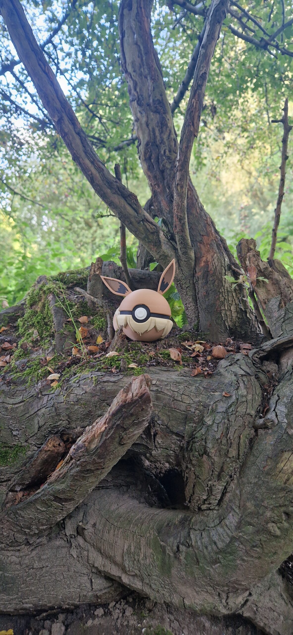 Eevee