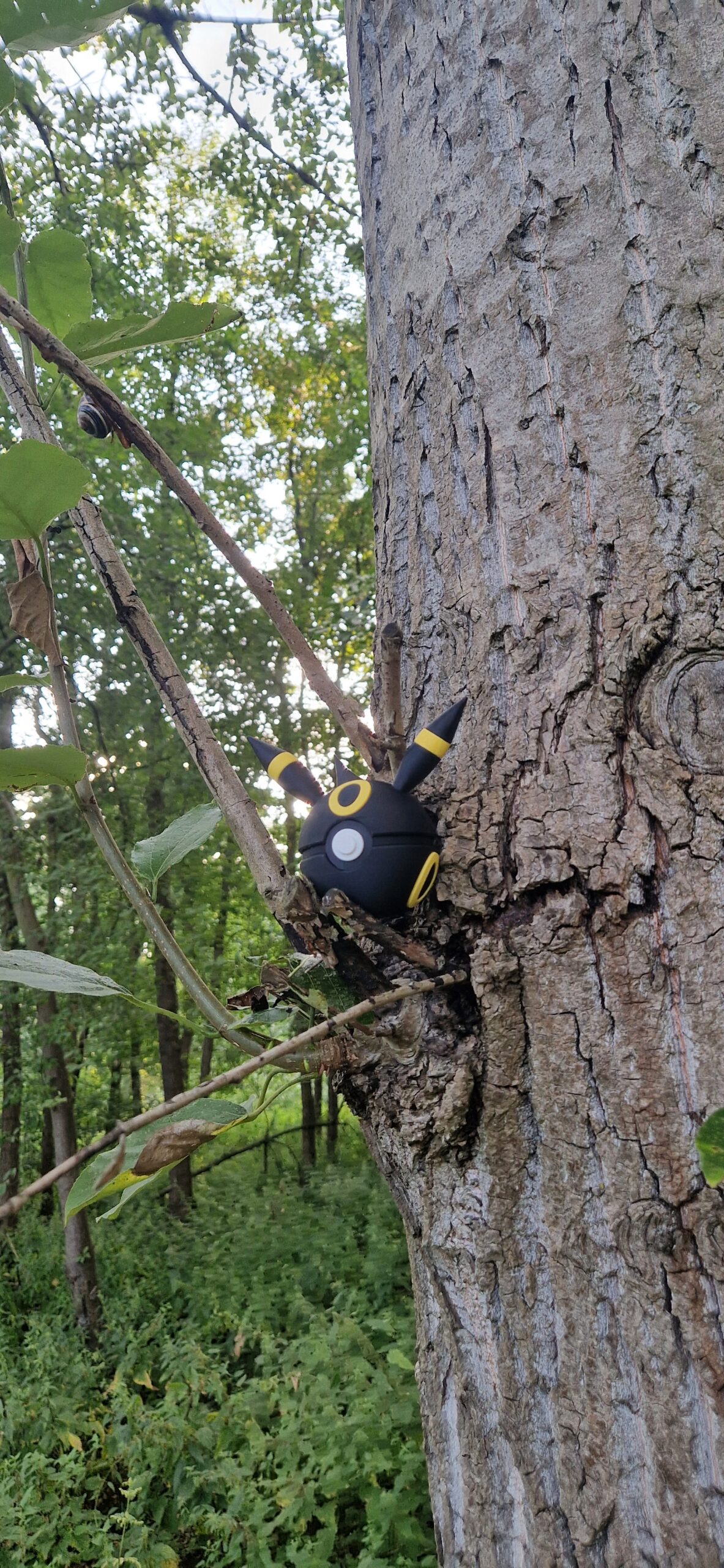 Umbreon