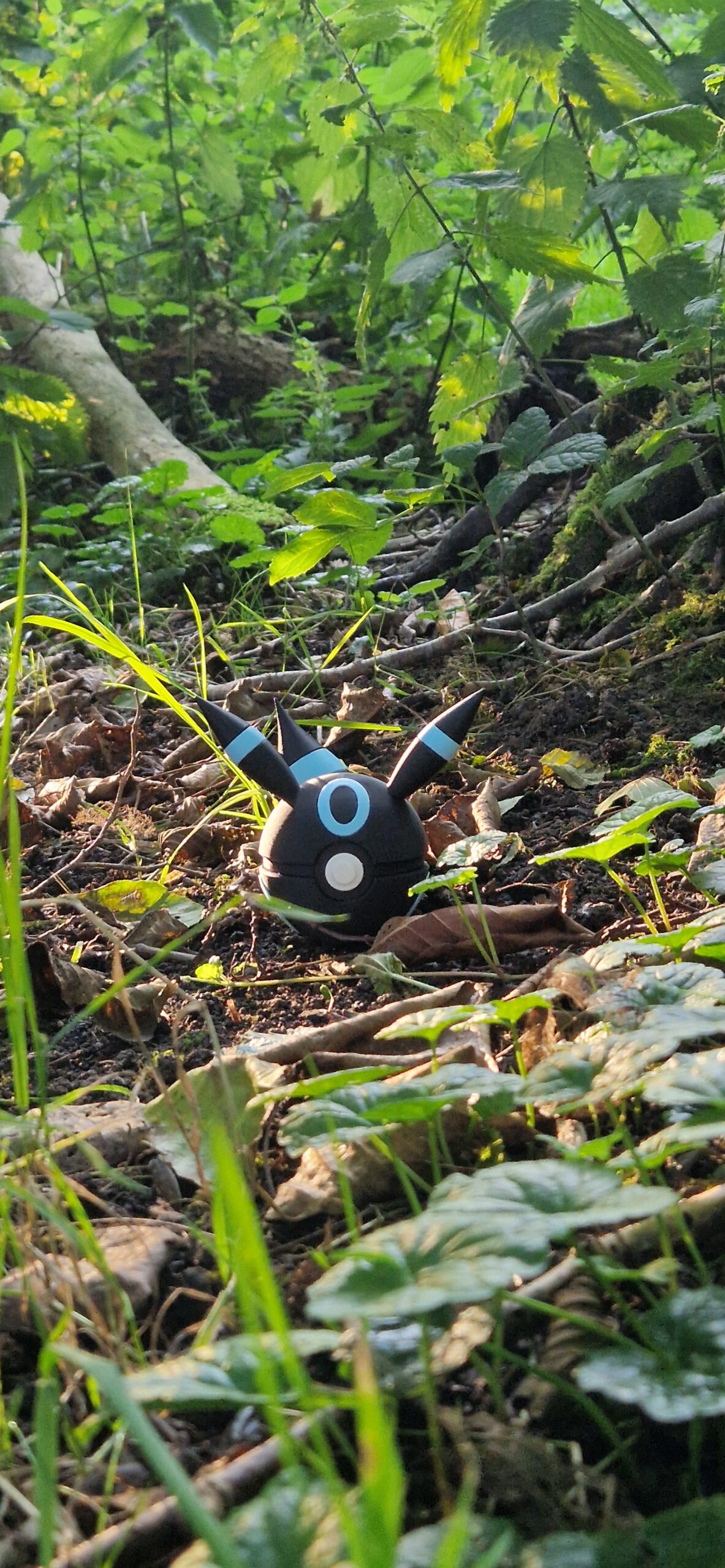 Shiny Umbreon