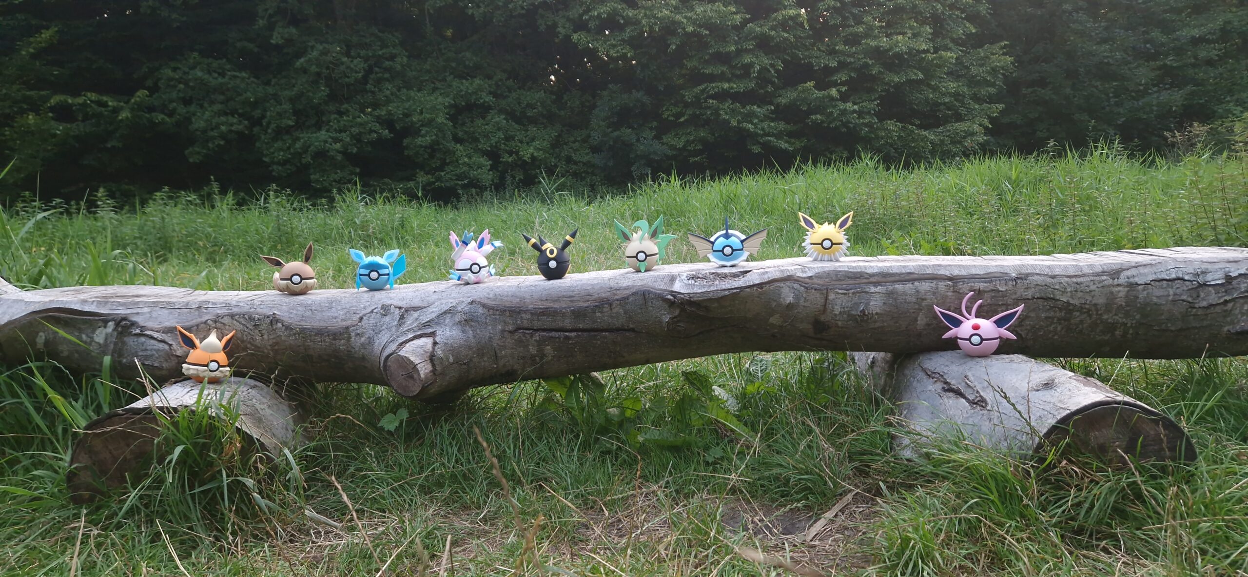 Eeveelutions Combi Deal