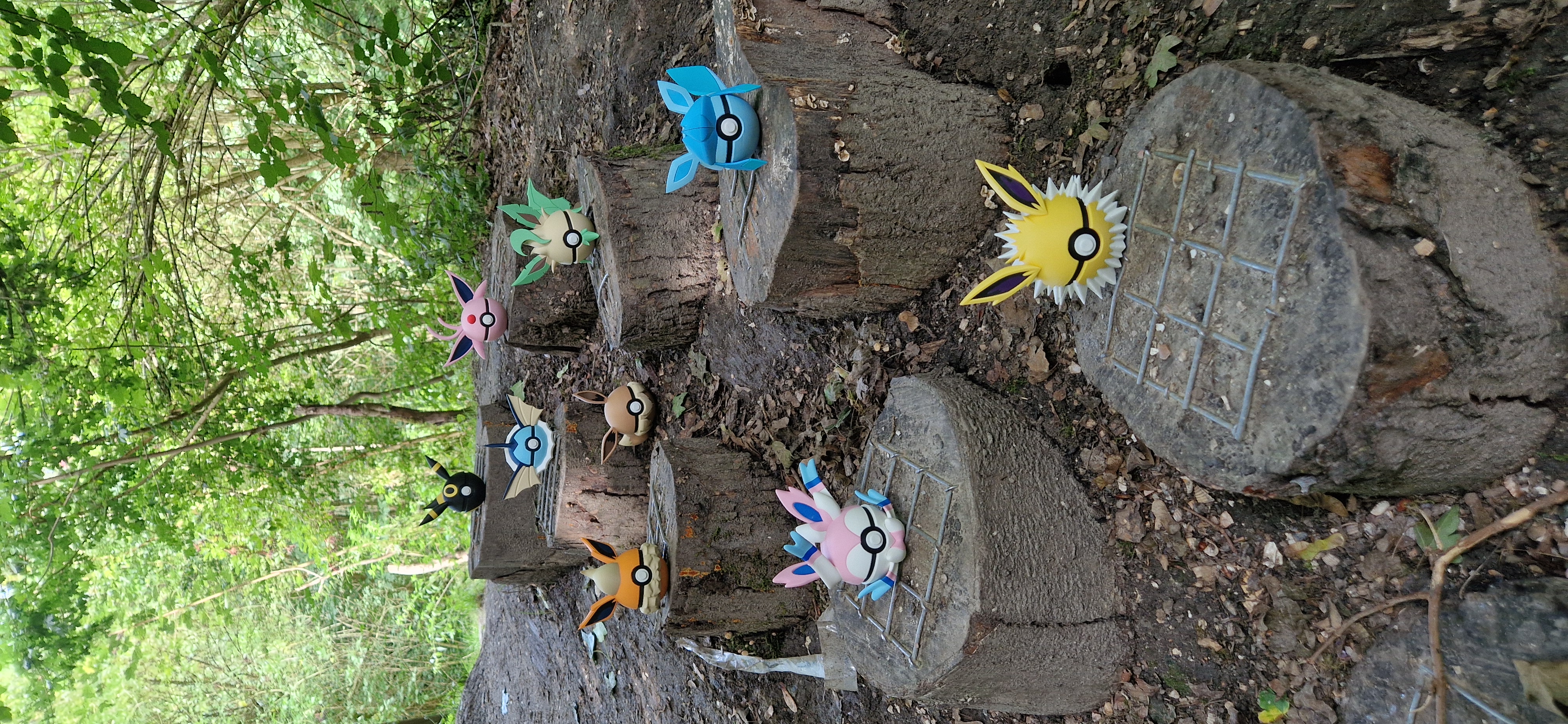 Eeveelutions Combi Deal