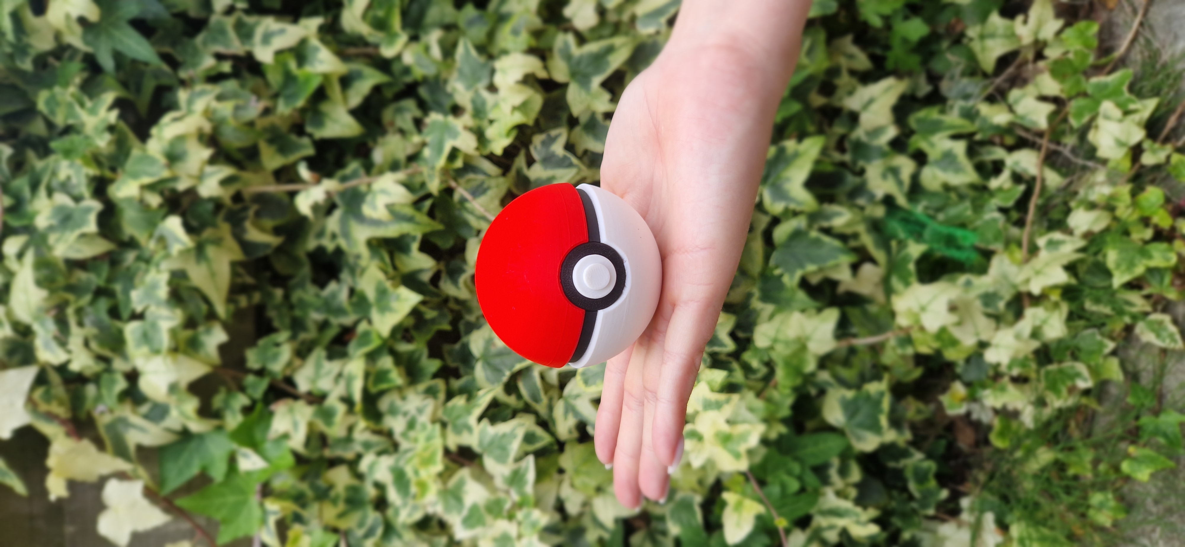 Pokéball