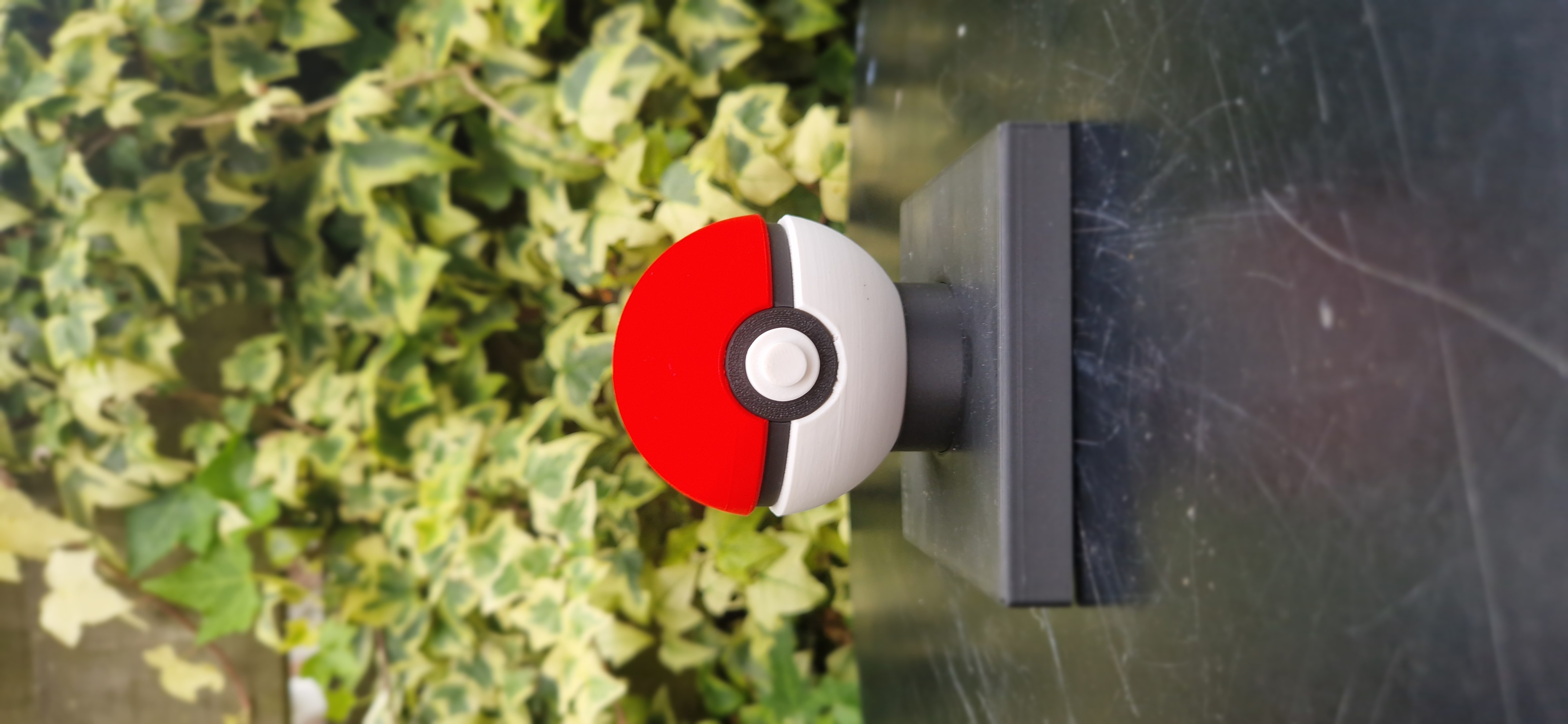 Pokeball Standaard + Naam